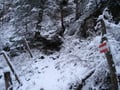 Der Michael-Kniewasser-Steig war an dieser Stelle immer sehr gut markiert. Man konnte, trotz der Schneeverhältnisse, ...