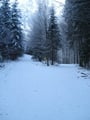 Um ca. 8.15 Uhr startete ich meine heutige "Neujahrswanderung" von Taferlklause aus in Richtung meiner heutigen Ziele, den Hochleckenkogel und den Brunnkogel. Zuerst über die schneebedeckte Forststraße, rechtshaltend ... 