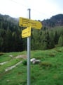 … 1570m hoch gelegenen Almboden der Globockenalm mit der ersten Weggabelung. Ich verließ nun den Pilgerweg und folgte dem Panoramaweg „Stein am Mandl-Globuckensee-Rottenmanner Hütte“ (Nr. 943) hier rechts weiter.