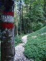 Im Anschluß daran folgten wir dem nett angelegten Steiglein durch den Wald ...