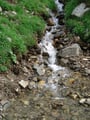 Ein Rinnsal nach dem Anderen suchte sich seinen Weg von den Berghängen herab um in den Riednerbach zu münden. Sogar vor dem Fahrweg wurde nicht halt gemacht und dieser des Öfteren überschwemmt!