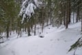 Der Pulverschnee ging einem zwar teilweise bis zu den Knien, dennoch war es super ohne Schneeschuhe zu gehen und so stapften wir auf der gegenüberliegenden Seite ein weiteres Mal in den Wald hinein.