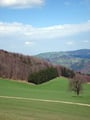 ... immer grüner werdende, Landschaft in vollen Zügen.