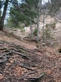 In unzähligen Serpentinen schraubte sich der Steig durch den Wald weiter bergwärts.