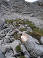 An dieser Stelle teilte sich der Steig. Der rotweißroten Markierung folgend gelang man auf direkten Wege zum Hohen Gjaidstein, der roten folgend direkt auf den Taubenkogel. Ich folgte der roten. An einigen Stellen mußte man die Hände zu Hilfe nehmen.