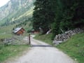 Über die Kerschbaumeralm, die Schmiedlechneralm und die Wieseralm wanderte ich …