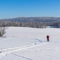 Winterlandschaft auf Richters Berg bei Neustadt.