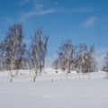 Winterlandschaft bei Krumhermsdorf.