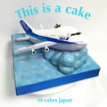 飛行機立体ケーキ【誕生日/イベント/オーダーメイドケーキ】