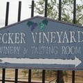 Das bekannteste Weingut in Texas: Becker