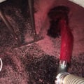 Domaine des Damoiselles - Vinification en rouge
