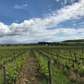 Domaine des Damoiselles portes ouvertes 2018