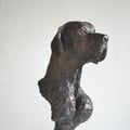 Hundeportrait. 2012. Orginalgrösse. Bronze
