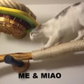ME & MIAO