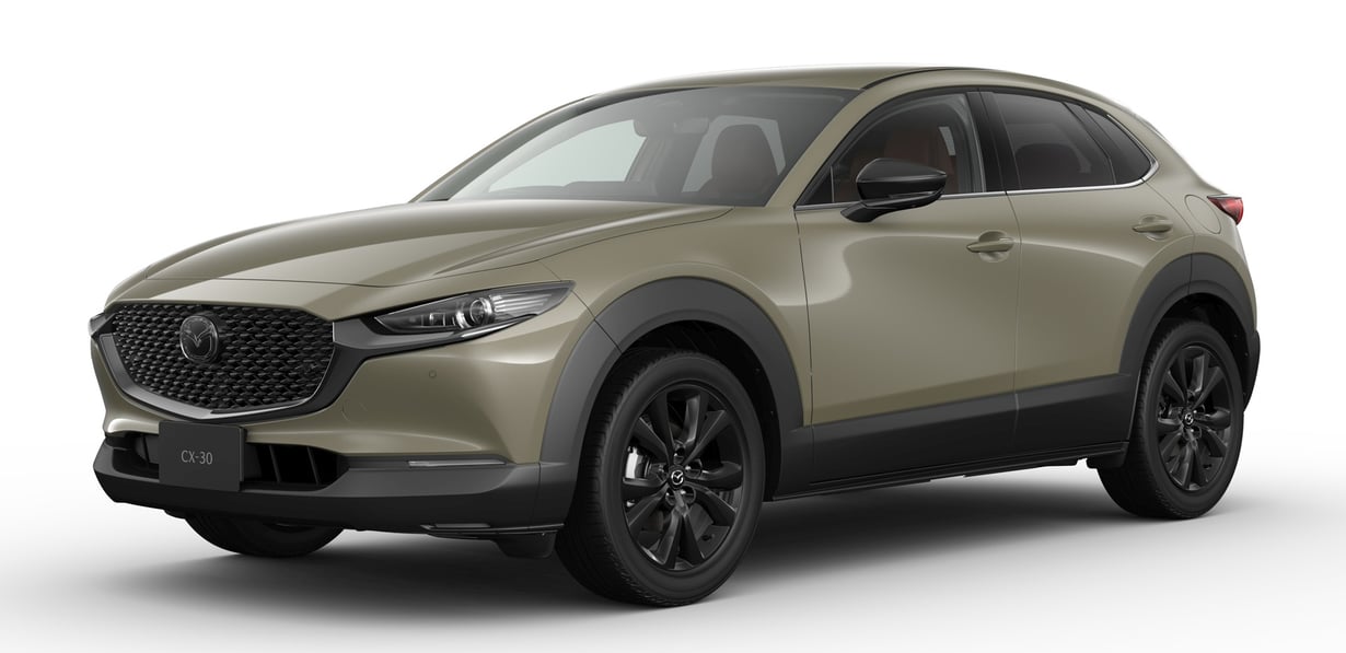 MAZDA CX-30 20S Retro Sports Edition