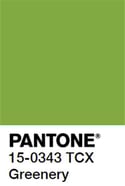 couleur de l'année 2017 Greenery de Pantone