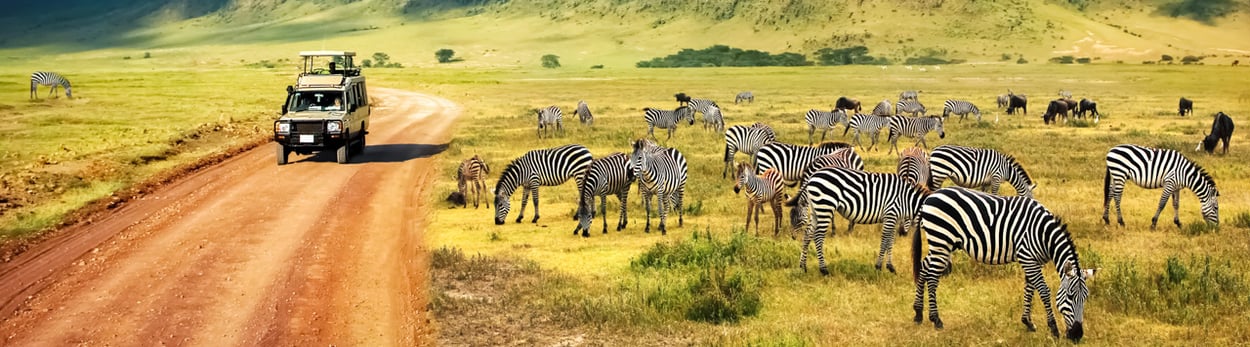 Safari in Tansania - Nationalpark Serengeti, Tarangire, Lake Manyara und Krater von Ngorongoro - Kilimanjaro Tours
