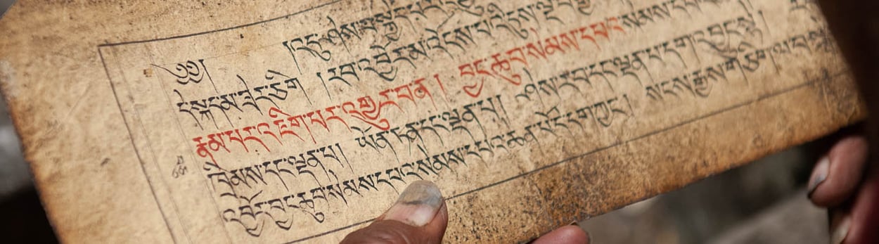 Ladakh, Zanskar, Trekking, Reisen, Bhuddismus, Klöster, Spituk, Thikse