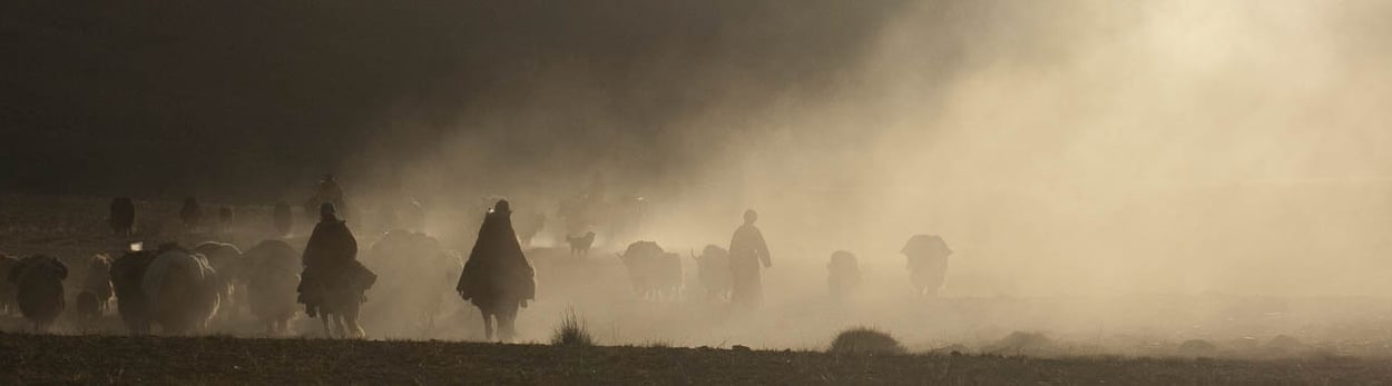 Trekking-Reise in Ladakh zu den letzten Nomaden im Himalaya