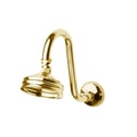 Federation Fixed Gooseneck Shower Arm Rose - Brass Gold, F9323ABG, WELS 3 star rating, 9L/min