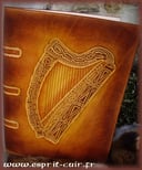Grimoire harpe de Brian Boru