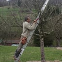 Baumschnitt März 2017