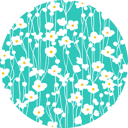 Pattern design Shuumeikiku