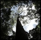 MTC Bienne, Psychosomatique Bienne, acu natura TCM Bienne