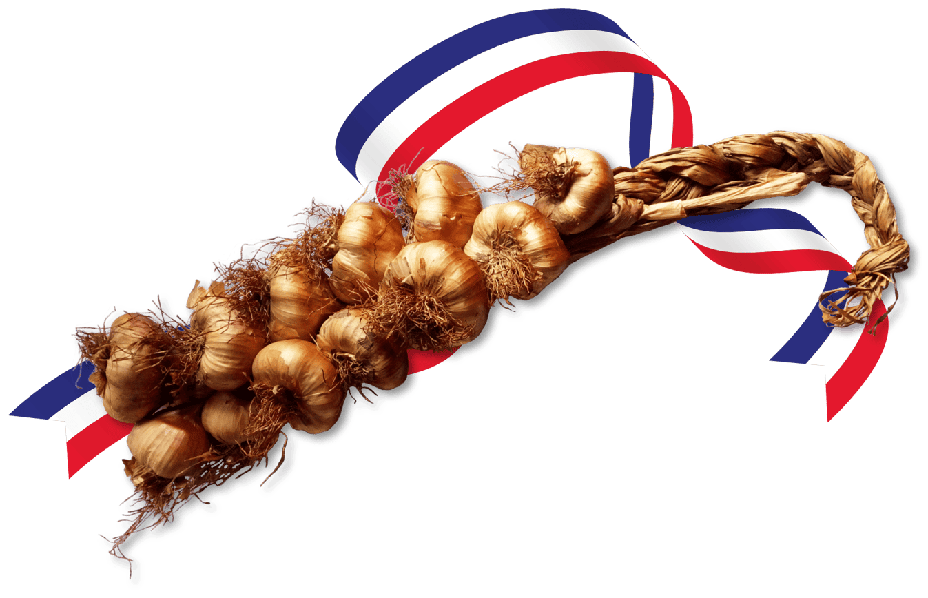 Zopf; geräuchert; Knoblauch; Frankreich; Nordfrankreich; Ail; fume; fumé; Knobi; Knolle; Kibu; Kibü; Würze; KibüWürze