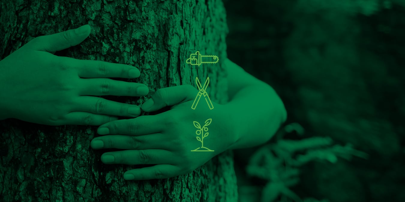 Zwei Hände umarmen einen Baumstamm und stehen für den respektvollen Umgang mit Natur und nachhaltige Baumpflege, wie sie Baumpflege ImmerGrün anbietet.
