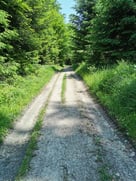 Jeder Weg beginnt mit dem ersten Schritt