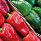 EssSense ist eine ganzheitliches Ernährungskonzept zum Abnehmen.