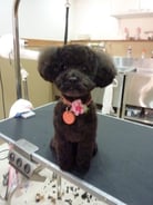 きりぃちゃん❤