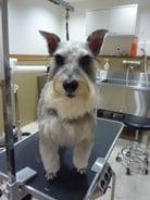 グレッツェンちゃん❤