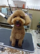 ミルキィちゃん❤