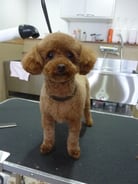 ちゃぴちゃん❤