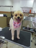 すももちゃん❤