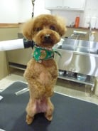 くうたろうちゃん❤