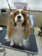 メリーちゃん❤