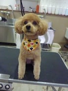 コロンちゃん❤