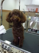 ノエルちゃん❤