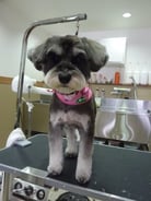 ちょびちゃん❤