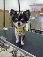 りっぷちゃん❤