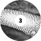 Sekretne życie dinozaurów 