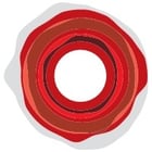 Vaccabella, ProGenetics, Routrey Holsteins