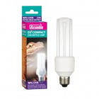 TERRARIENBELEUCHTUNG BEI ZOO KELLNER