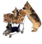 HUNDEZUBEHÖR RUNDGANG ZOO KEKKNER