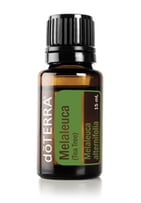 doTERRA Teebaum Öl