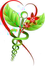 Mieux Vivre par la Gastronomie Sans Sucre Bio Santé Antioxydants Montgesty Lot 46