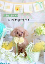 イベントに参加くださったかわいこちゃんたち